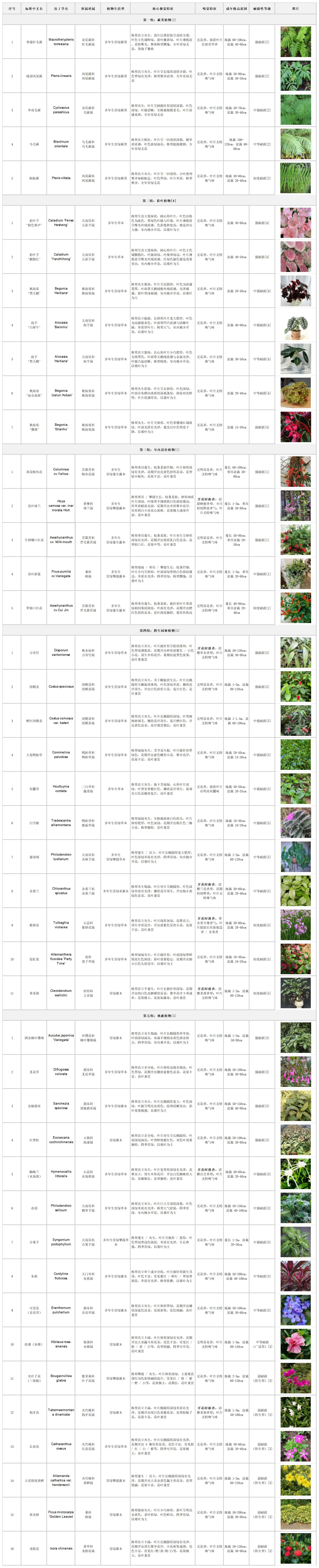 蕨类与彩叶植物名录_Sheet1.jpg